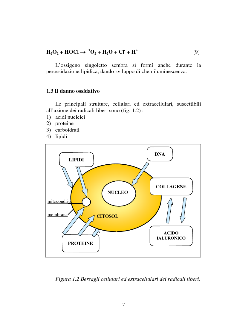 Perossidazione lipidica : definition of Perossidazione