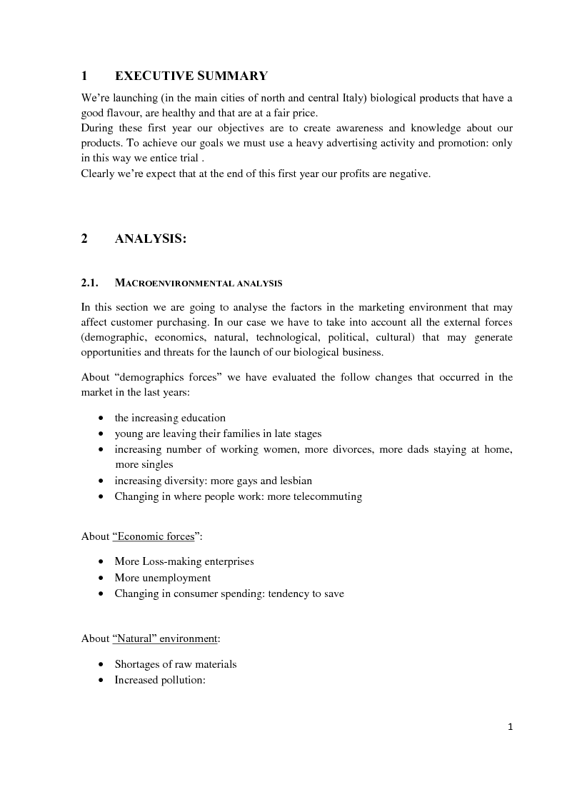 marketing plan bachelor thesis